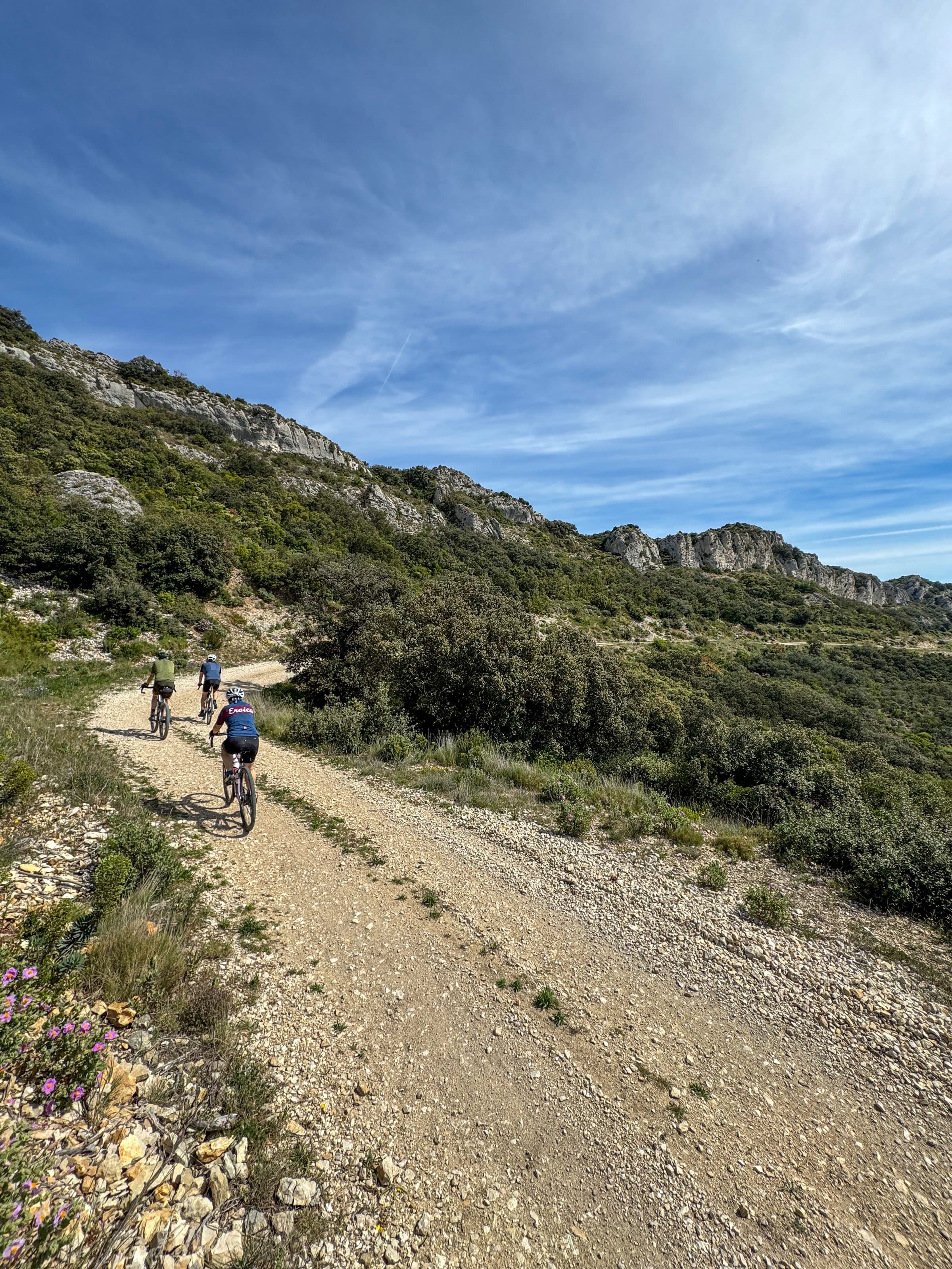 Groupe de VTT électriques sur un sentier rocailleux des Alpilles